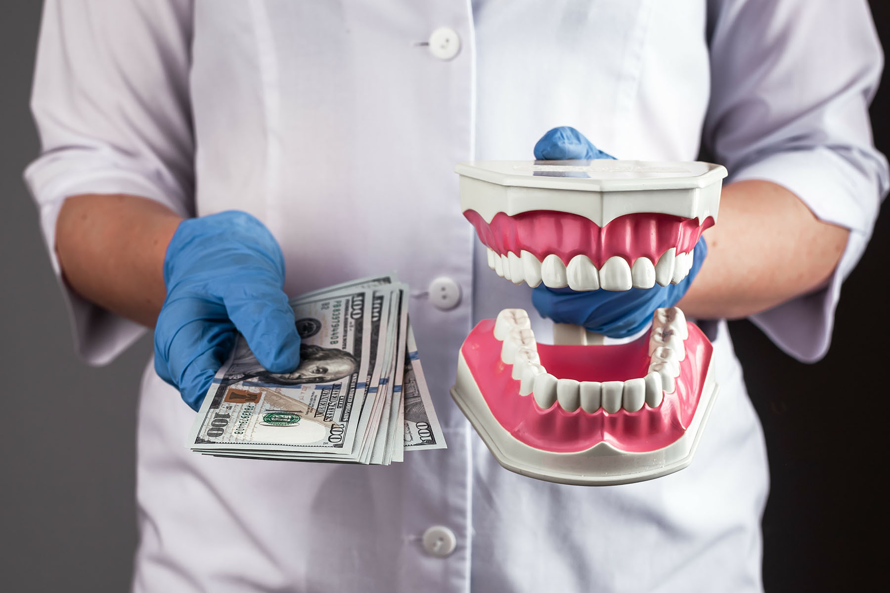 dollars dentist teeth model